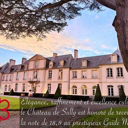 Grand Hotel "Chateau De Sully" - Piscine & Spa -Teritoria Dış mekan fotoğraf
